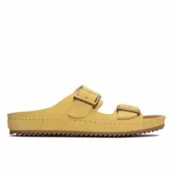 Clark Brookleigh Sun